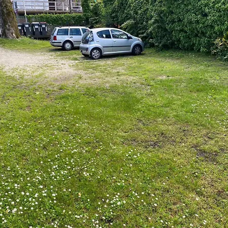 Wonderful * Стреза