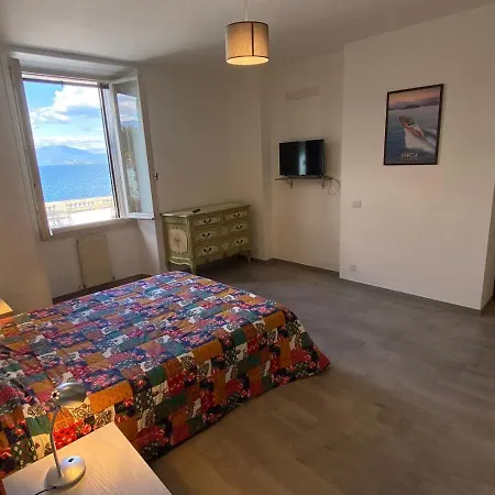 Wonderful Стреза